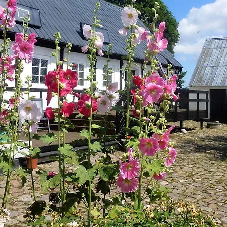 Large Summerhouse On Danish Island Bornholm Feriegård Klemensker