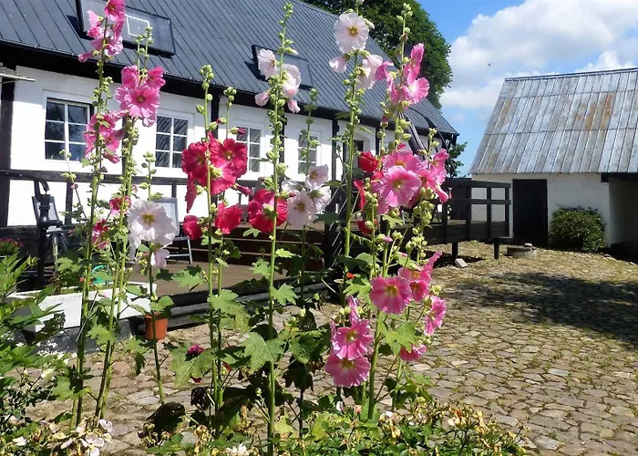 Large Summerhouse On Danish Island Bornholm בית חווה Klemensker
